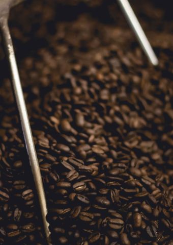 Prodej čerstvě pražená kávy